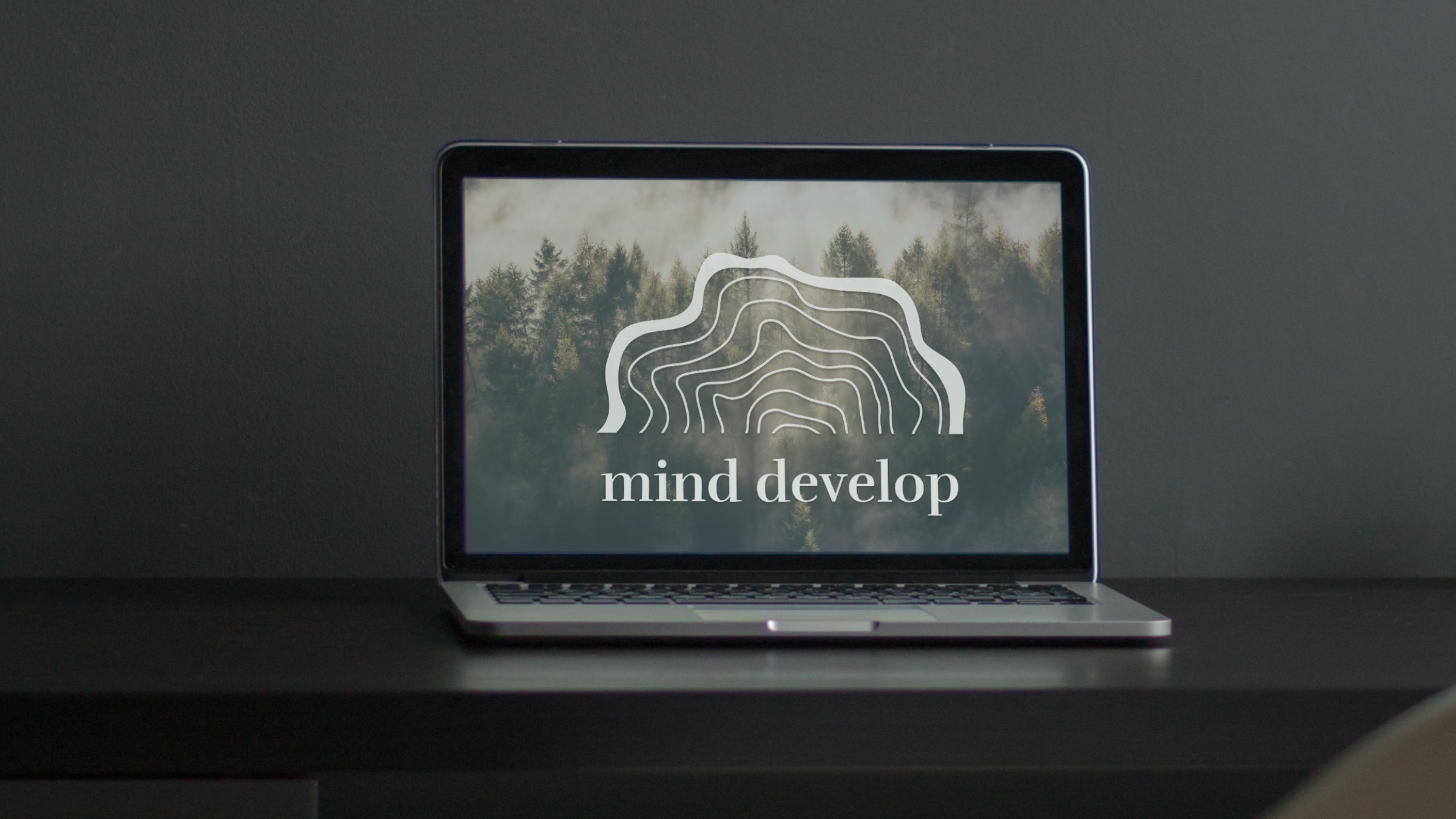 Webdesign für mind develop coaching